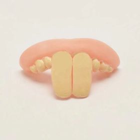 Rabbit Tooth Corgi Whole Toy Funny Funny False Teeth Set
